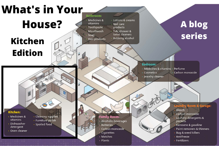 A blog series showing rooms of a house with different products highlighted in each.