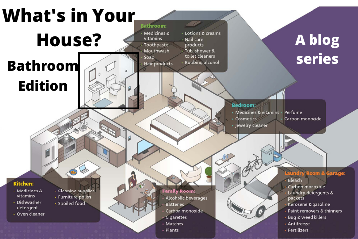 A blog series showing rooms of a house with different products highlighted in each.