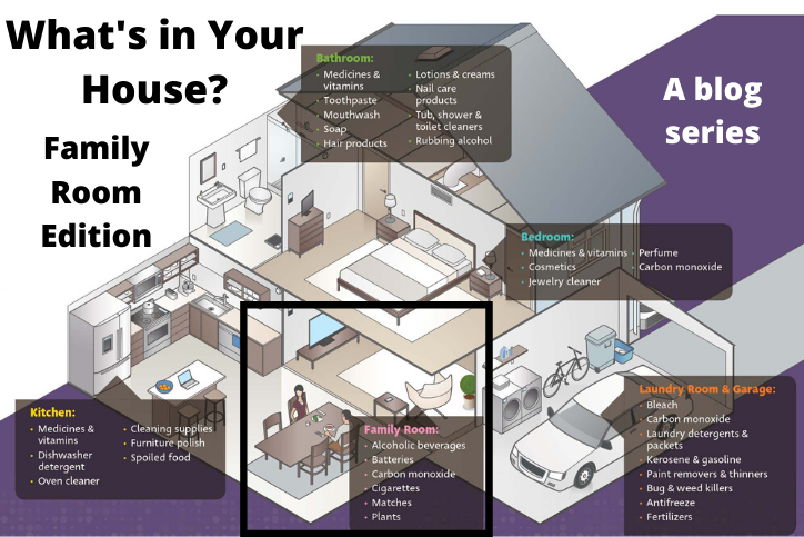 A blog series showing rooms of a house with different products highlighted in each.