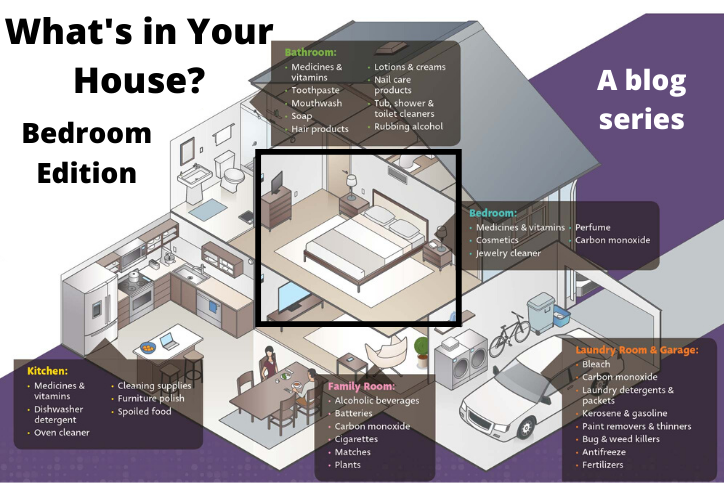 A blog series showing rooms of a house with different products highlighted in each.