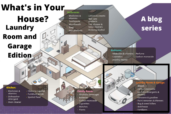 A blog series showing rooms of a house with different products highlighted in each.